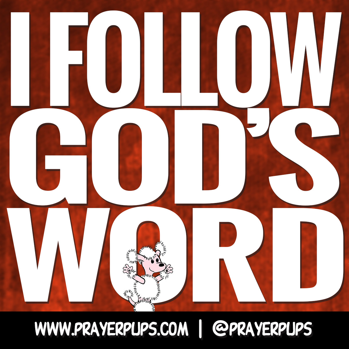 I follow God's Word