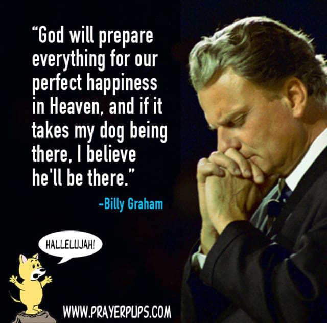 Billy Graham On Dogs Christian Cartoons From Prayer Pups